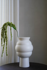Green Amaranthus