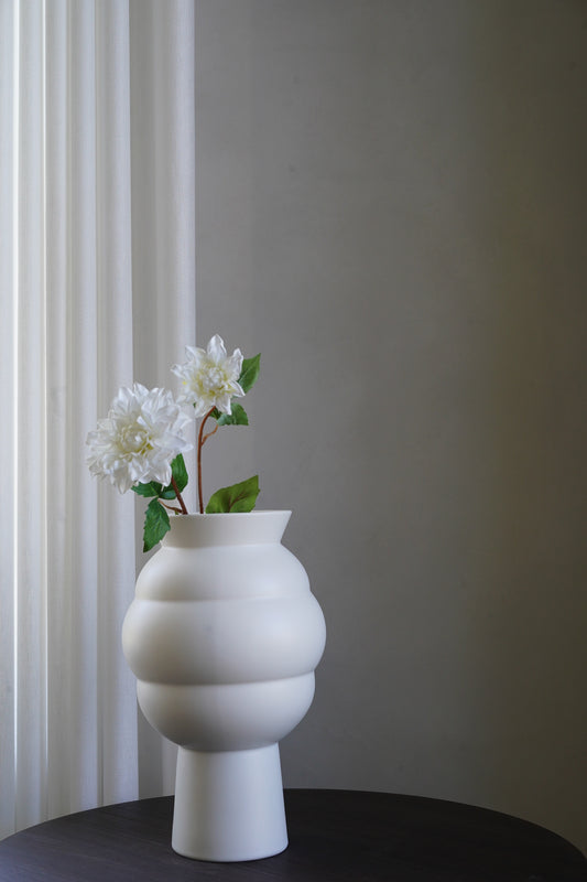 White Dahlia Flower