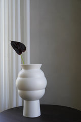 Dark Purple Anthurium