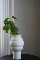 Hydrangea Leaves (03)