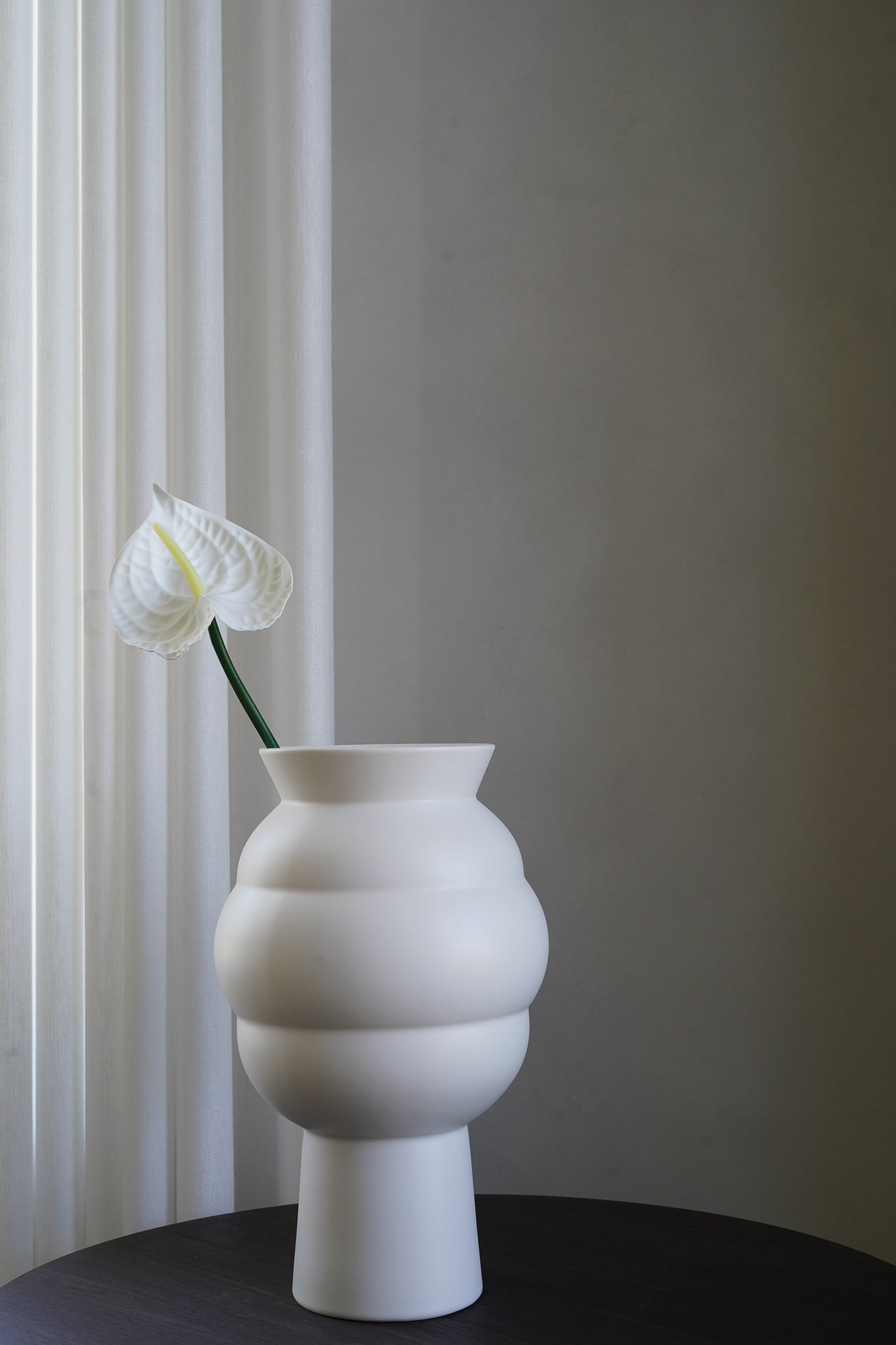 White Anthurium