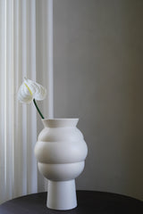 White Anthurium