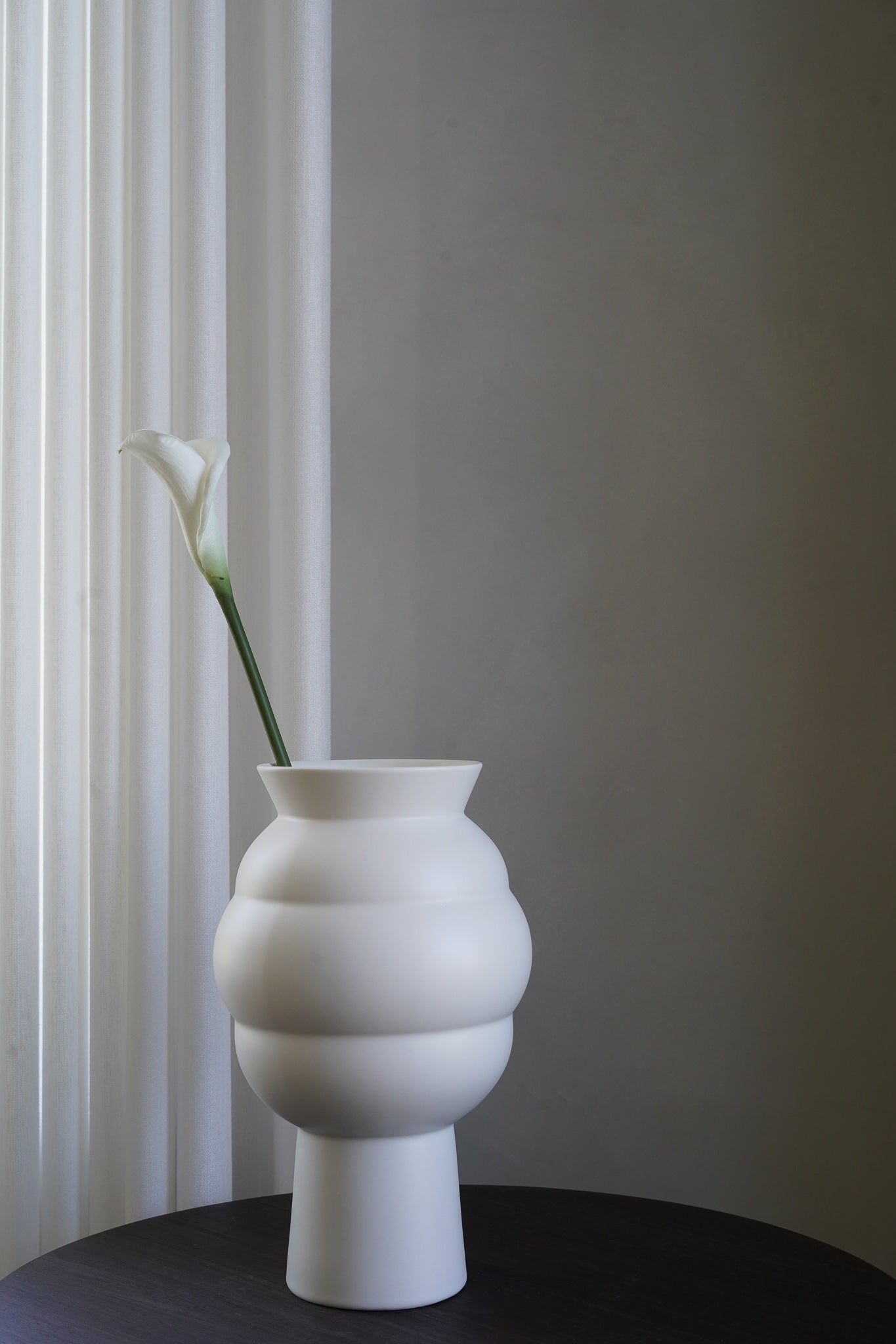 White Calla Lily Flower