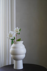 White Dahlia Flower