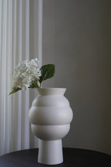 White Hydrangea Flower