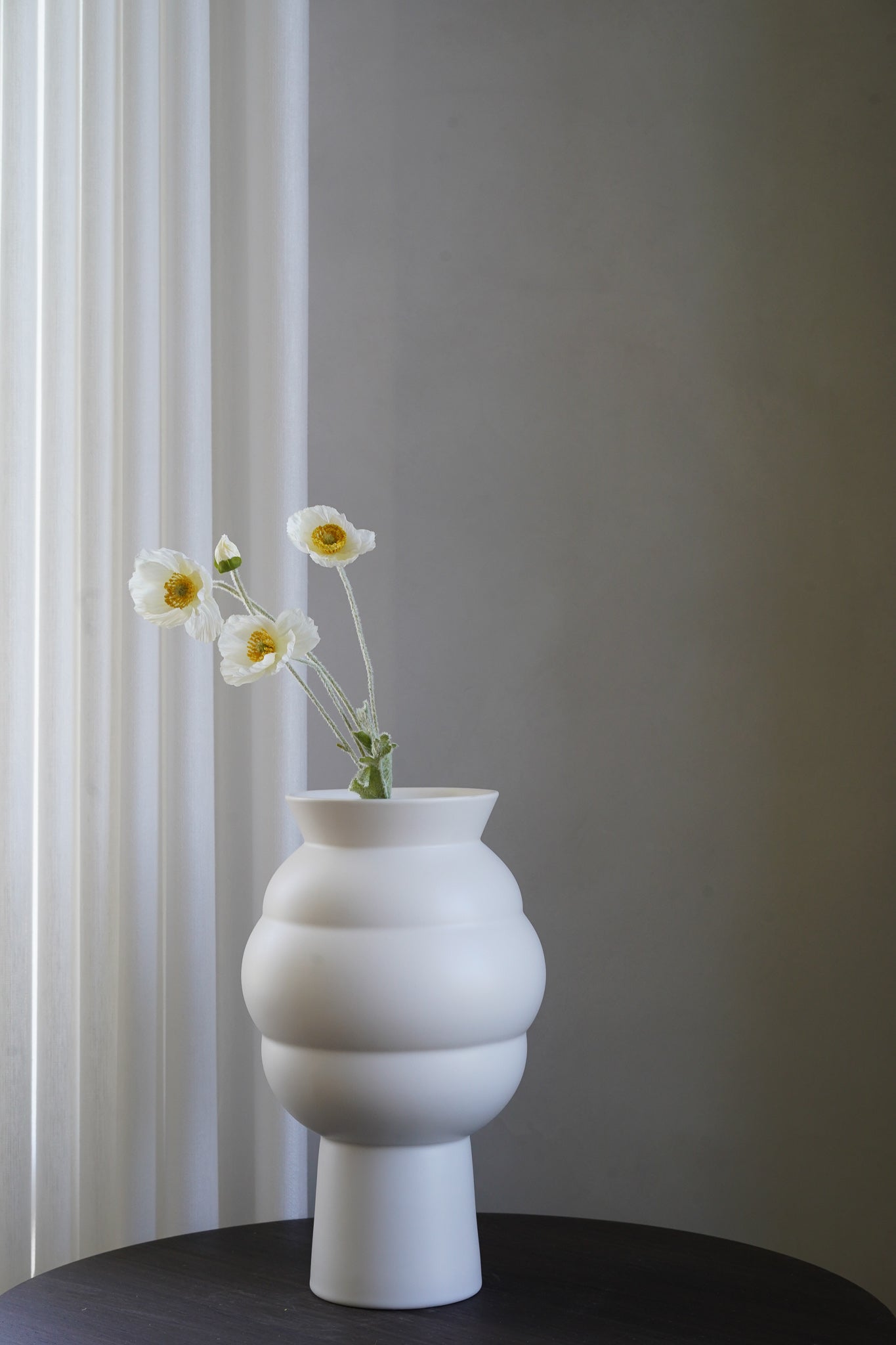 White Poppy flower