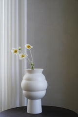 White Poppy flower
